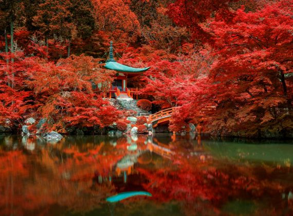 autumn-foliage-at-daigo-ji-temple-kyoto-japan-DNMX6GE.jpg